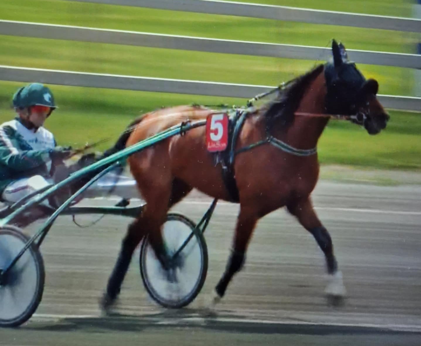 Futurity 250501-2